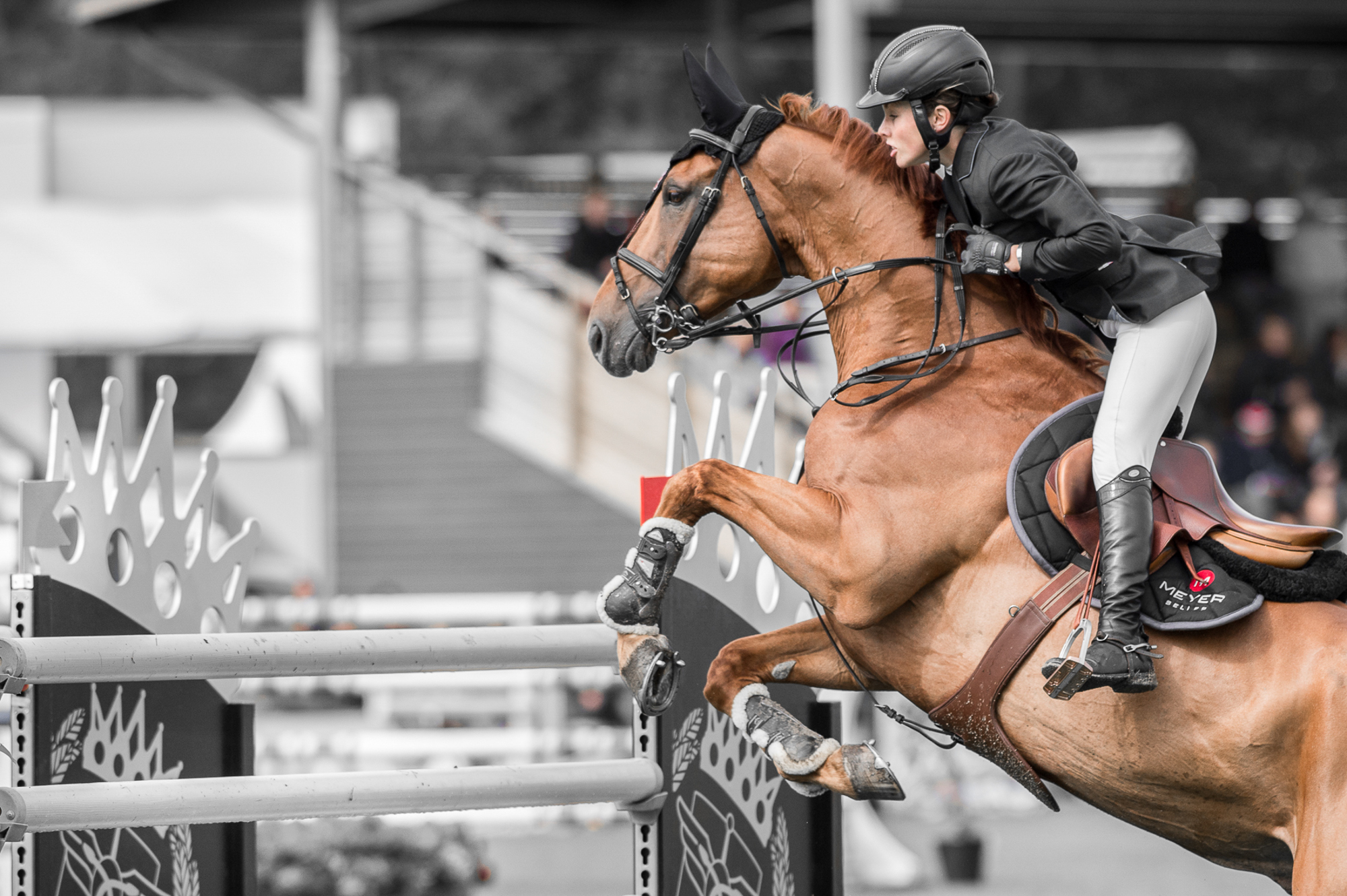 Springekvipage_Kunddahl Graphic Photography