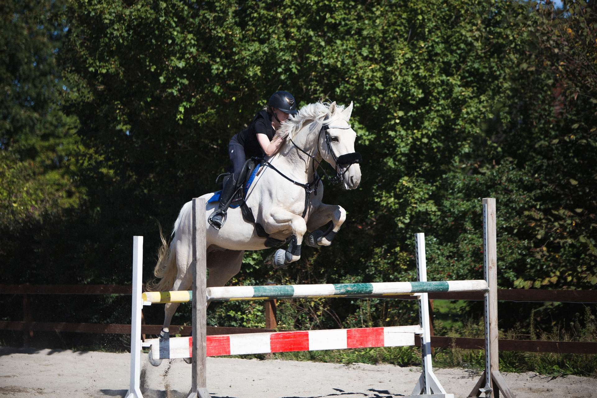 Malgré Tout læseren Caroline Madsen & Sun Dancer. Foto_ Josefine Madsen