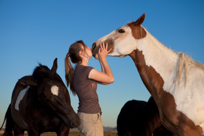 Pige kysser hest