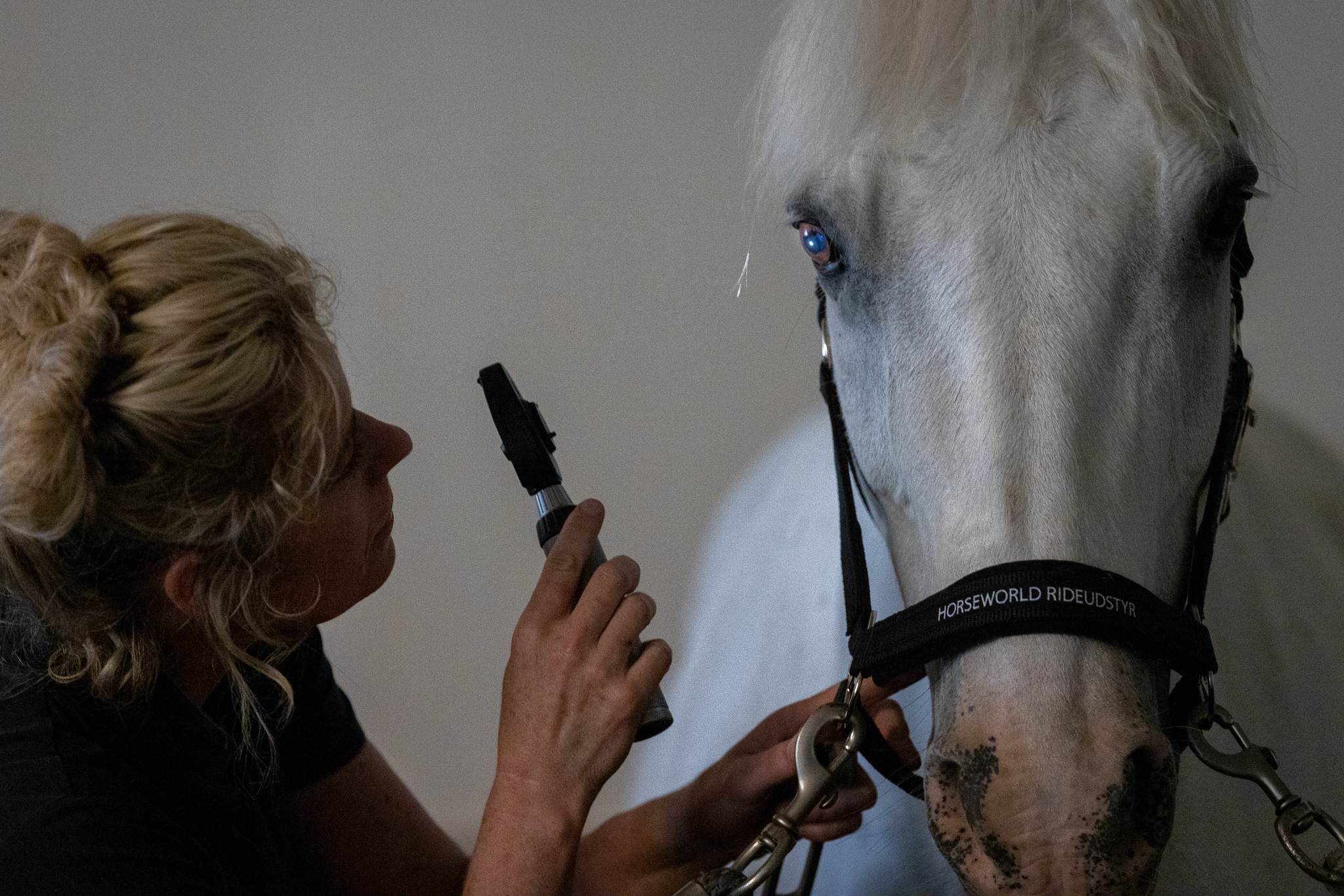 Et ubalanceret nervesystem har konsekvenser fortæller Maja Guldborg