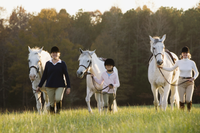 En hestefamilie på tur sammen