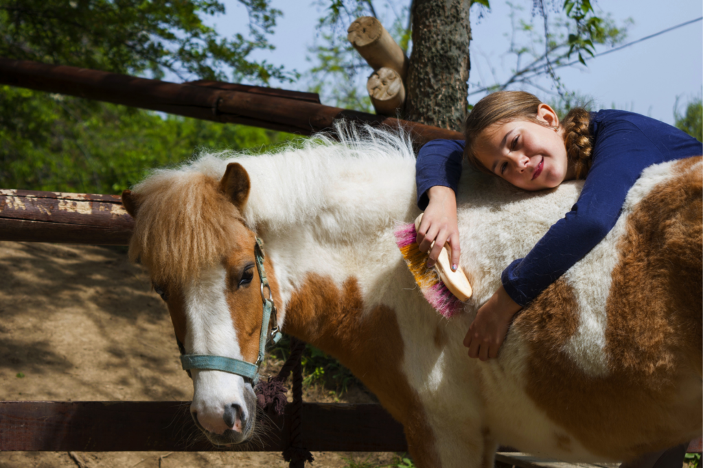 Pige ordner pony på rideskolen