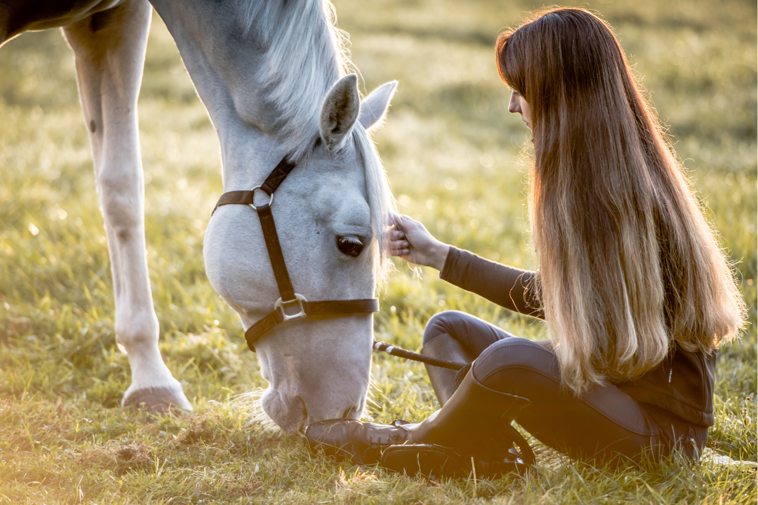 Pige sidder med sin hest