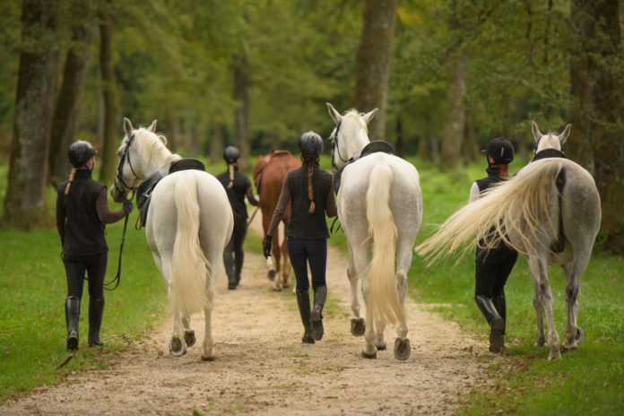 Piger med heste