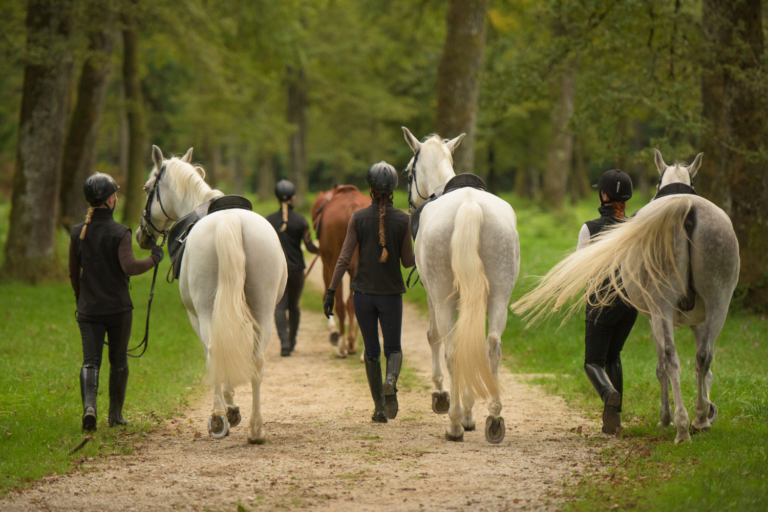 Redaktionens tanker: Giver vi hestefolk lidt for tit hinanden gode råd?