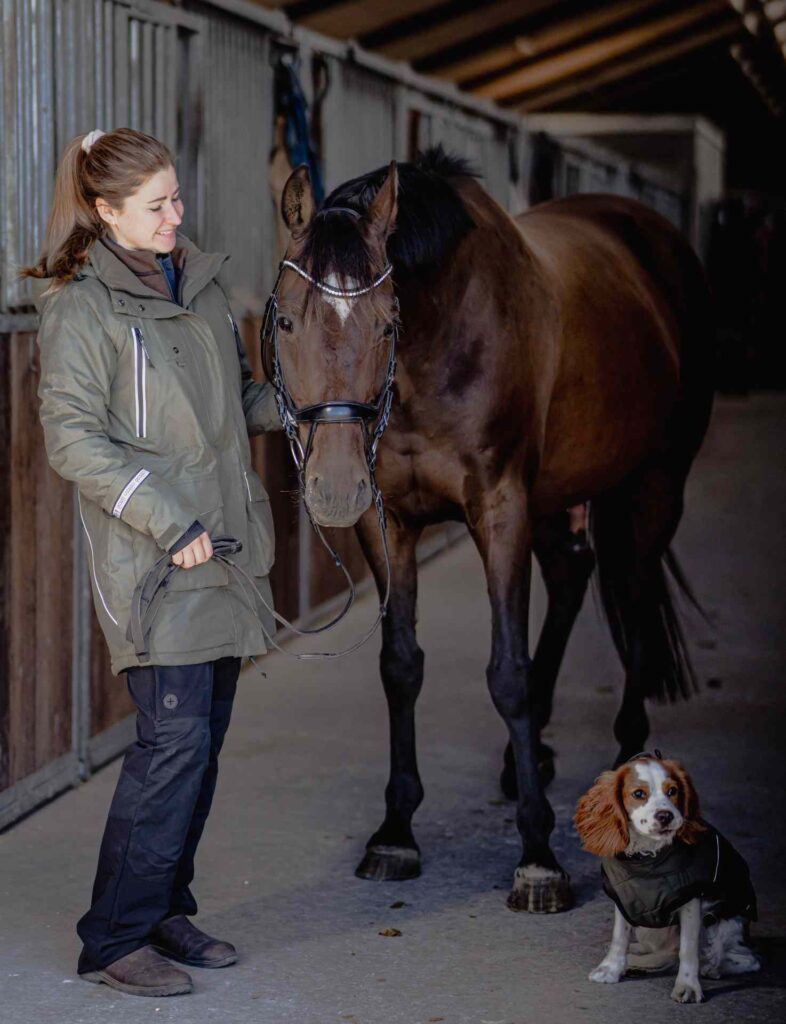 Catago trainer collection med hest og hund i stalden