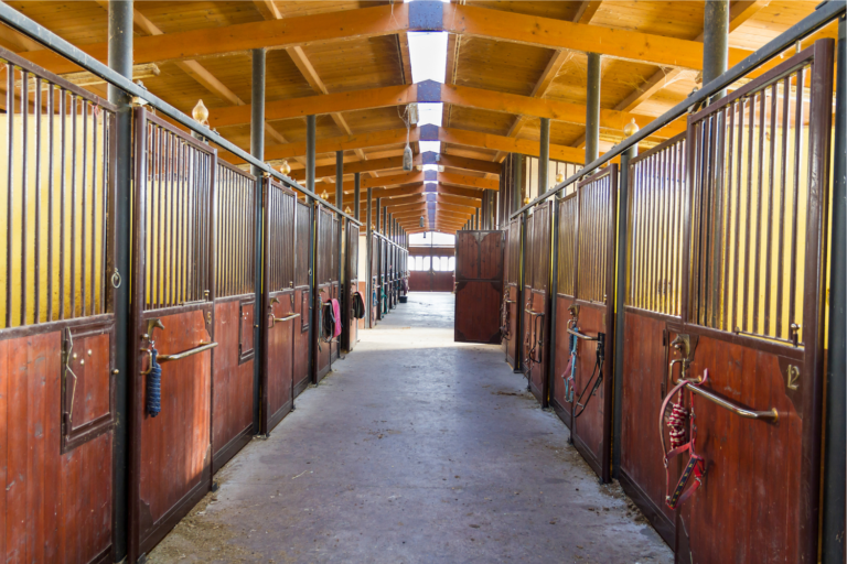 Har du sørget for et godt og sikkert staldmiljø for din hest?