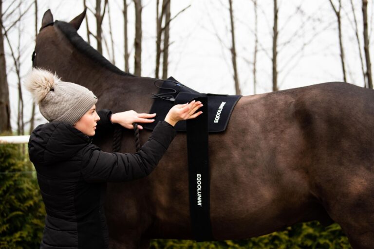Lær hvordan Infrarød Lysterapi, kan forbedre Fleksibiliteten hos din hest
