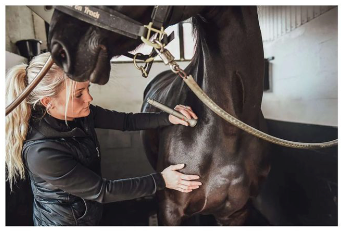 Mød Zille – En kompetent og erfaren fysiurgisk hesteterapeut samt en PowerLaser-entusiast!
