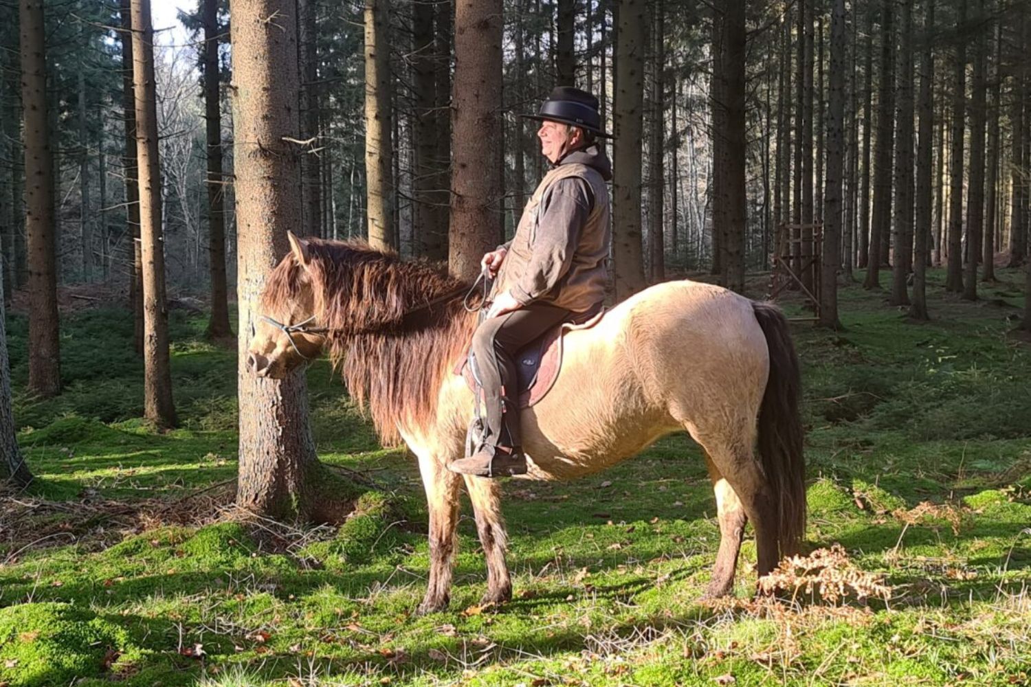 Foto: curlyhorsefarm.com