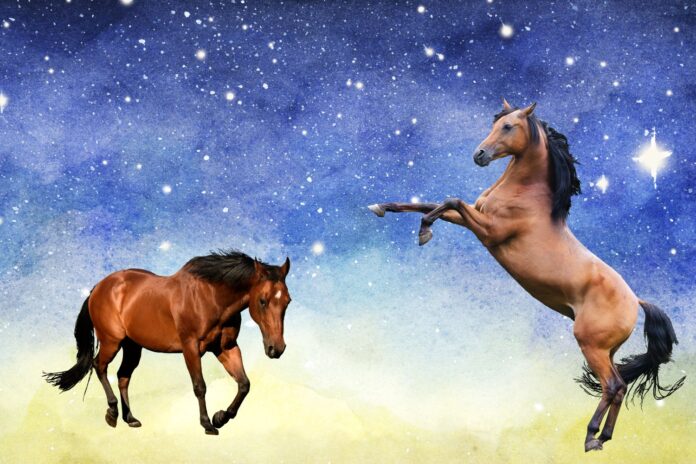 Astrologi hest stjernetegn