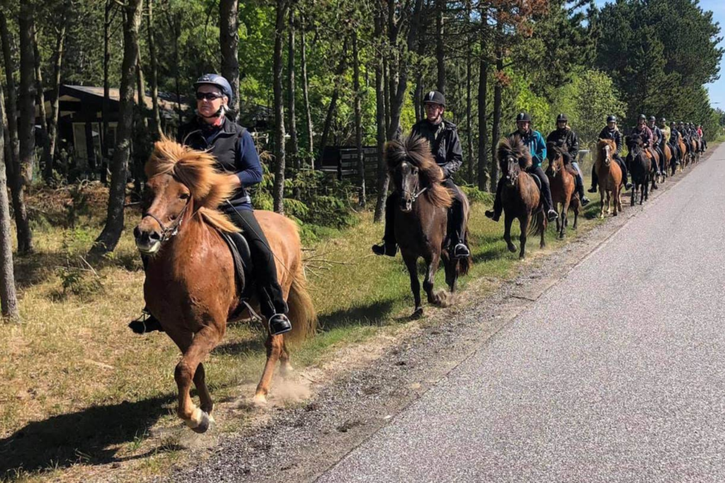 På billedet er der en række af heste som er på vej ud på en ridetur. De rider inde til siden på noget græs med træer i baggrunden.