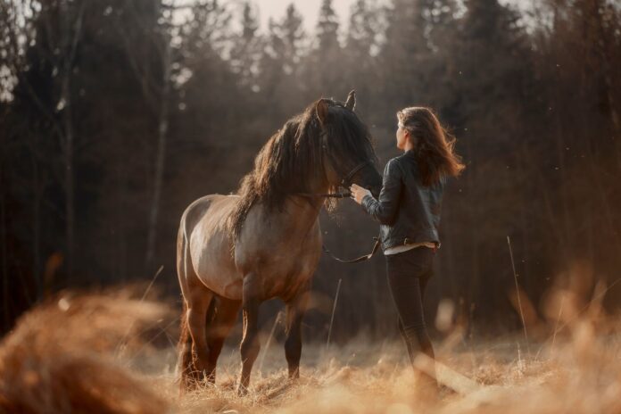 En hest og dame står over for hinanden, ude på en mark. Man kan se en skov i baggrunden.
