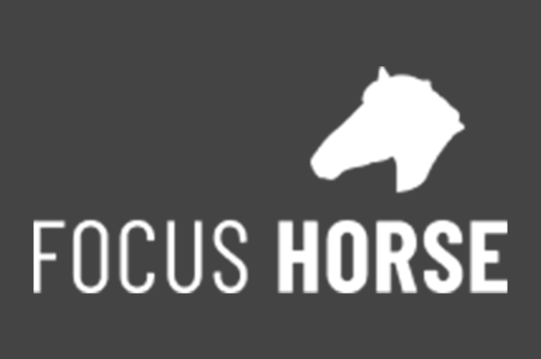 focus horse