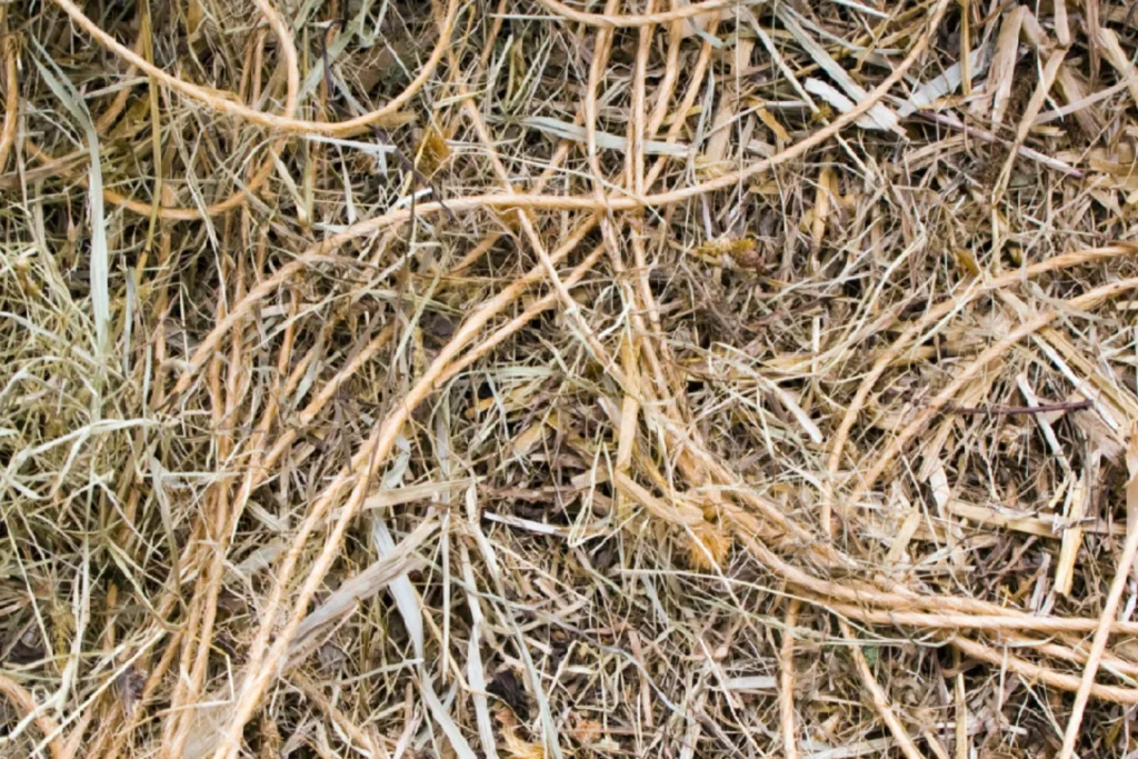 Foto: Malgré Tout

