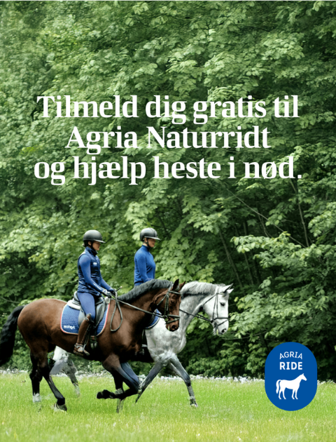 agria naturridt kombinerer en naturoplevelse med din hest samtidig med i samler penge ind til et godt formål. foto agria