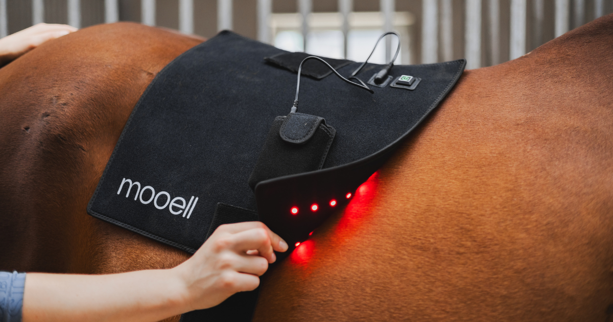 Mooell FIR light pad er wellness med effekt. foto mooell