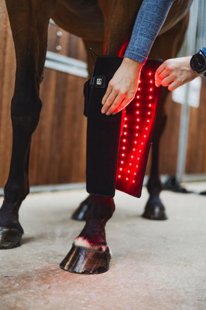 mooell red ligth therapy pad er ny på markedet. foto malgré tout (1)