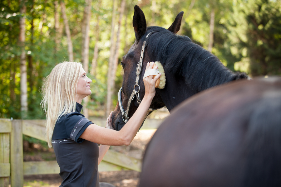 cappall striglere til daglig pleje af hestens pels, er en fornøjelse at bruge og skabt med respekt for miljøet. foto cappall