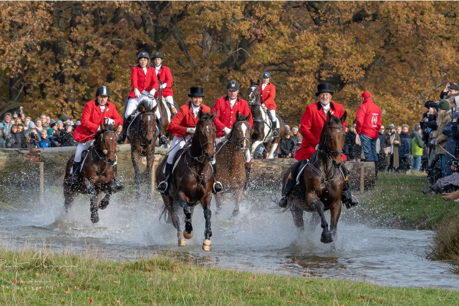 magasindammen i dyrehaven er klart puplikums favoritsted under hubertusjagten. foto spr.