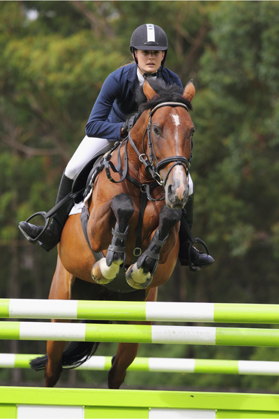 perform energy er en booster til heste. foto malgré tout