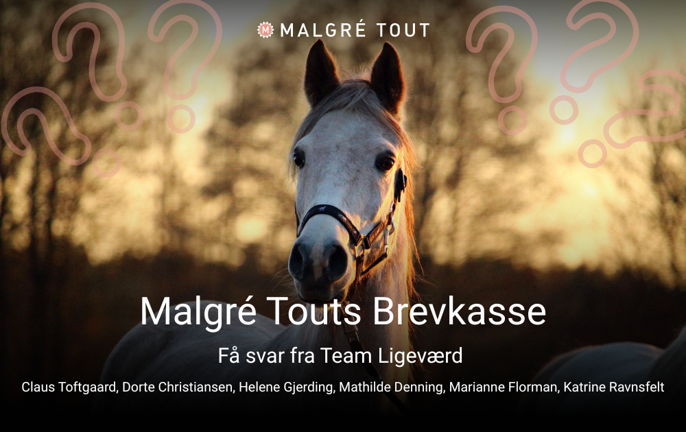 brevkasse til malgré touts læsere