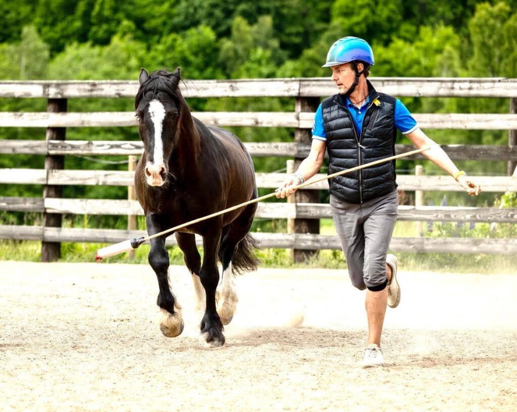 cecilia byrnak5 leg med hesten