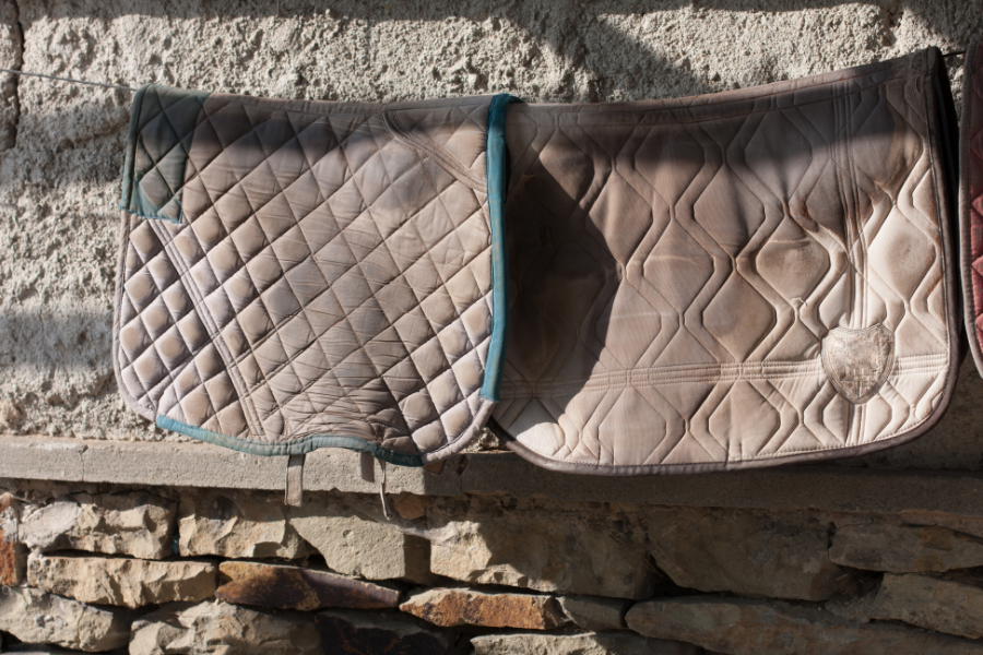 korrekt vask og tørring af dit rideudstyr får det blandt andet til at holde længere. foto canva pro