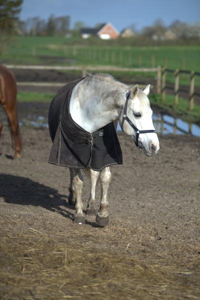 om dækkenet har kiler eller ekstra stof ved skuldrene, så er det vigtigt at den kan bevæge sig frit uden at dækkenet strammer. foto kamila tworkowska