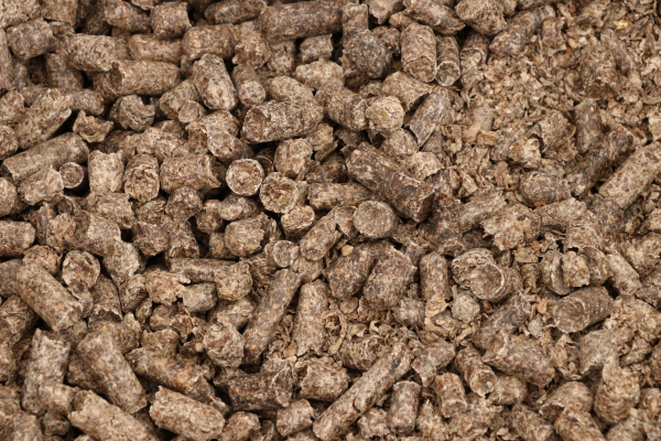 roepiller skal altid opblødes i vand efter producentens vejledning inden udfodring. foto