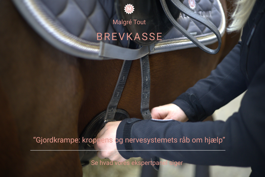 nogle heste reagerer meget voldsomt på opsadling det kan der være mange grunde til. foto malgré tout (1)