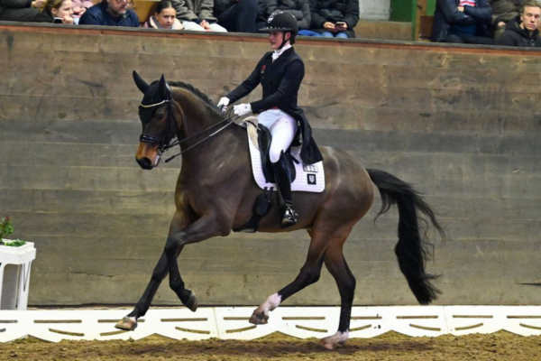 cathrine laudrup og franko unit. laudrup & dufour kristine ulsø olsen