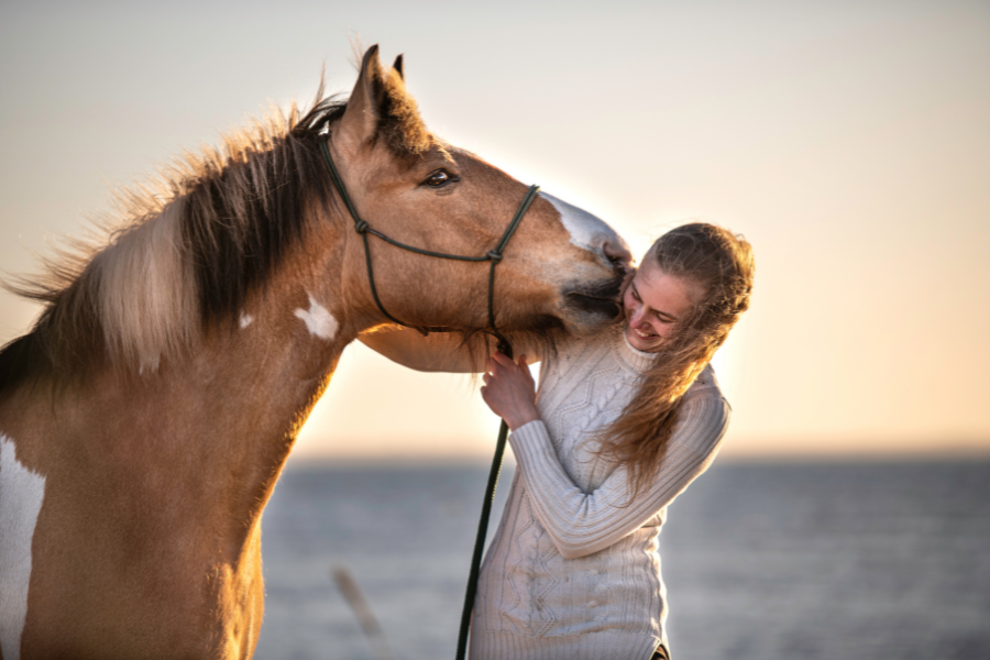 at have hest er et stort arbejde men mange er enige om at det er det hele værd. foto kaja wennich