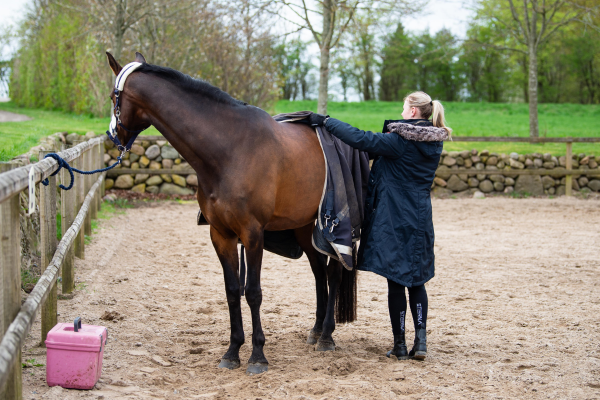 dækken af, dækken på. foråret især er en svær tid når det kommer til valg af dækkener til hestene. foto malgré tout