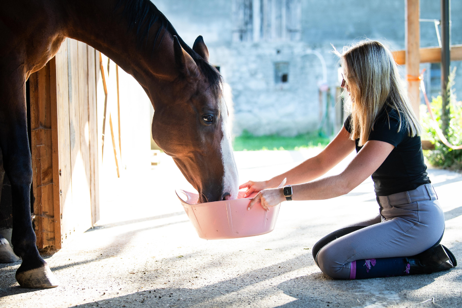 den rette foderplan danner grundlag for både sundhed og præstation – men kompleksiteten gør det nemt at fare vild i beslutningerne. foto malgré tout arkiv.