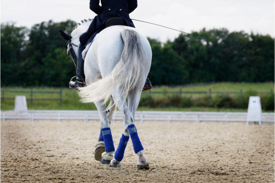 du skal reagere hvis din hest viser uvilje mod bestemte øvelser. foro canva