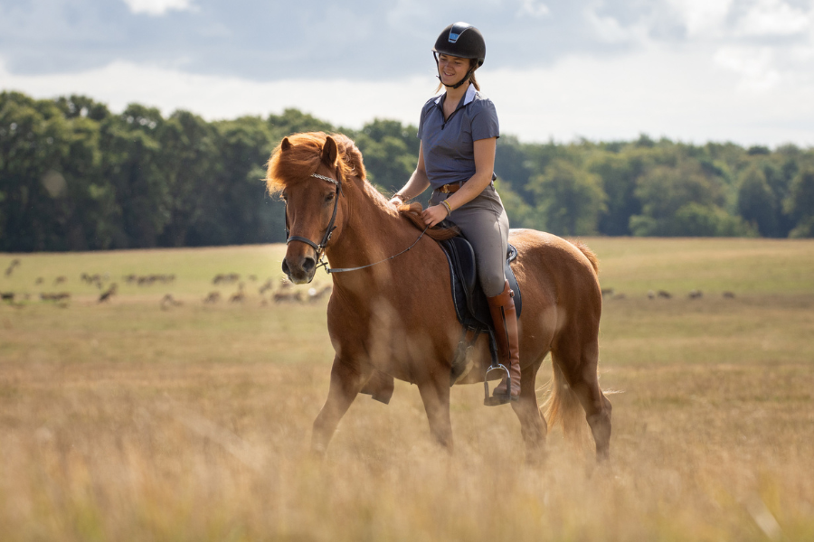 en ridetur i naturen er somen belønning for hårdt arbejde og mange timers arbejde i stalden. foto kaja wennich