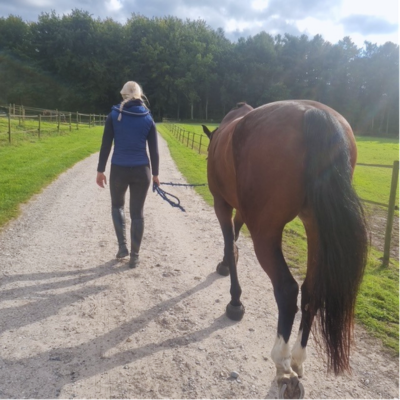 en rolig gåtur med hesten kan være et godt led i genoptræningen både fysisk og mentalt. foto malgrè tout