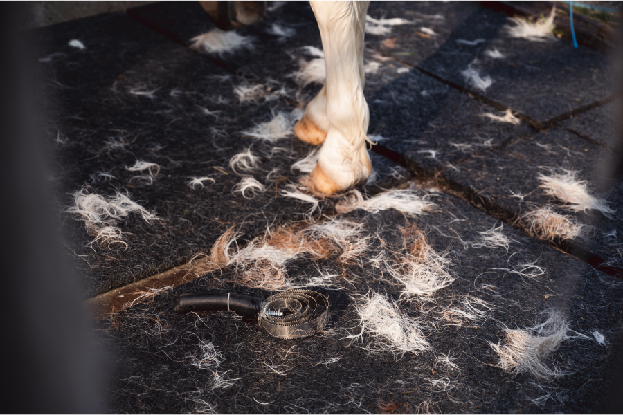 foråret betyder for hesteejere også løse hår allevegne. foto canva pro