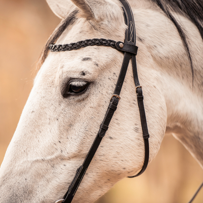 heste er med til at lære dig at lytte uden ord. foto kaja wennich