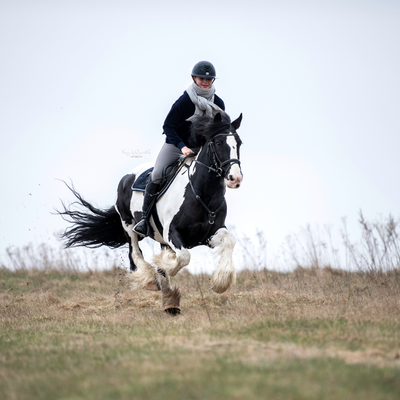 nogle gange er en galop lige det der ændrer alt og det eneste du har virkelig brug for. foto kaja wennich