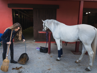 som hesteejer fejer man meget og går mange skridt med en trillebør. foto canva