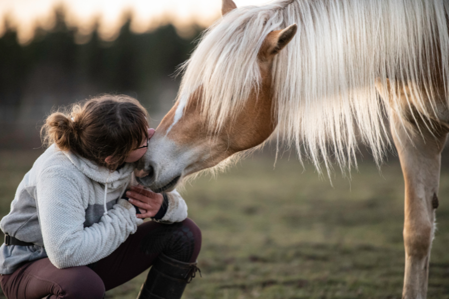 som hesteejer rummer man mange følelser og bruger mange timer på hesterelaterede ting. foto kaja wennich