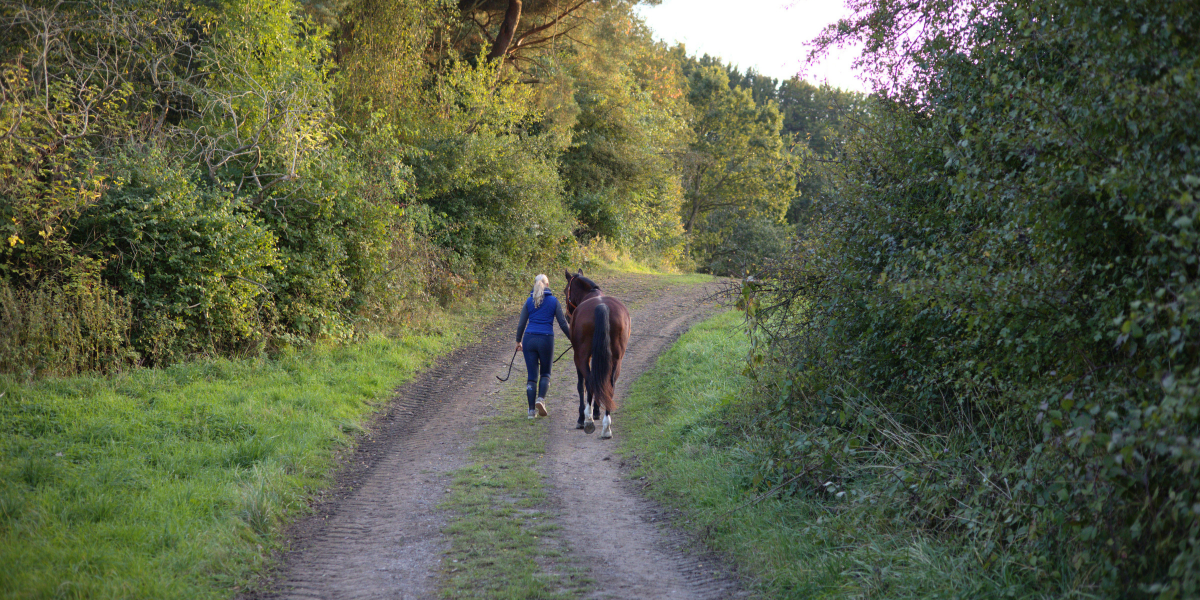 at gå en tur med hesten har mange fordele. ud over de fysiske gevinster for jer begge styrker det også den mentale trivsel samt relationen og tilliden mellem jer. foto malgré tout