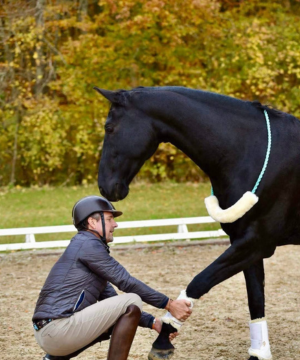 fysioterapeut claus toftgaard arbejder blandt andet med at lave rytteranalyser, der er med til at give et indblik i hvor en rytter har sine fysiske udfordringer. foto anne sofie schou munk