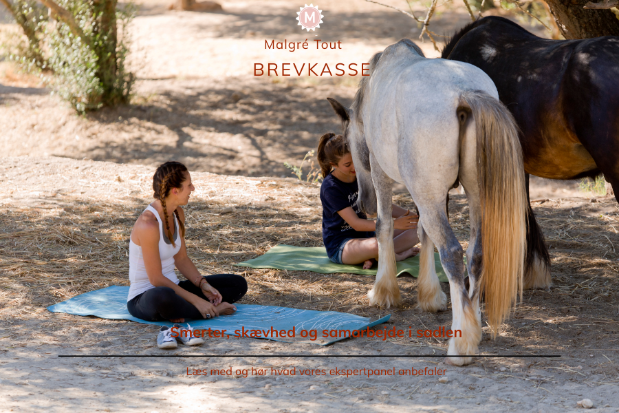 mange ryttere glemmer at fokusere på deres egne fysiske svagheder og kan få stor glæde af for eksempel smidiggørende øvelser. foto canva