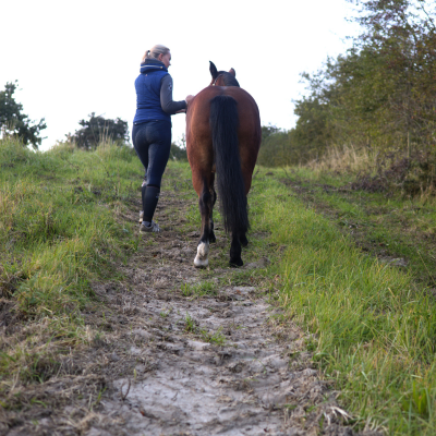 når i går op og ned ad bakke opbygger hesten styrke, balance og koordination, hvilket giver en stærkere, mere holdbar krop. foto malgré tout