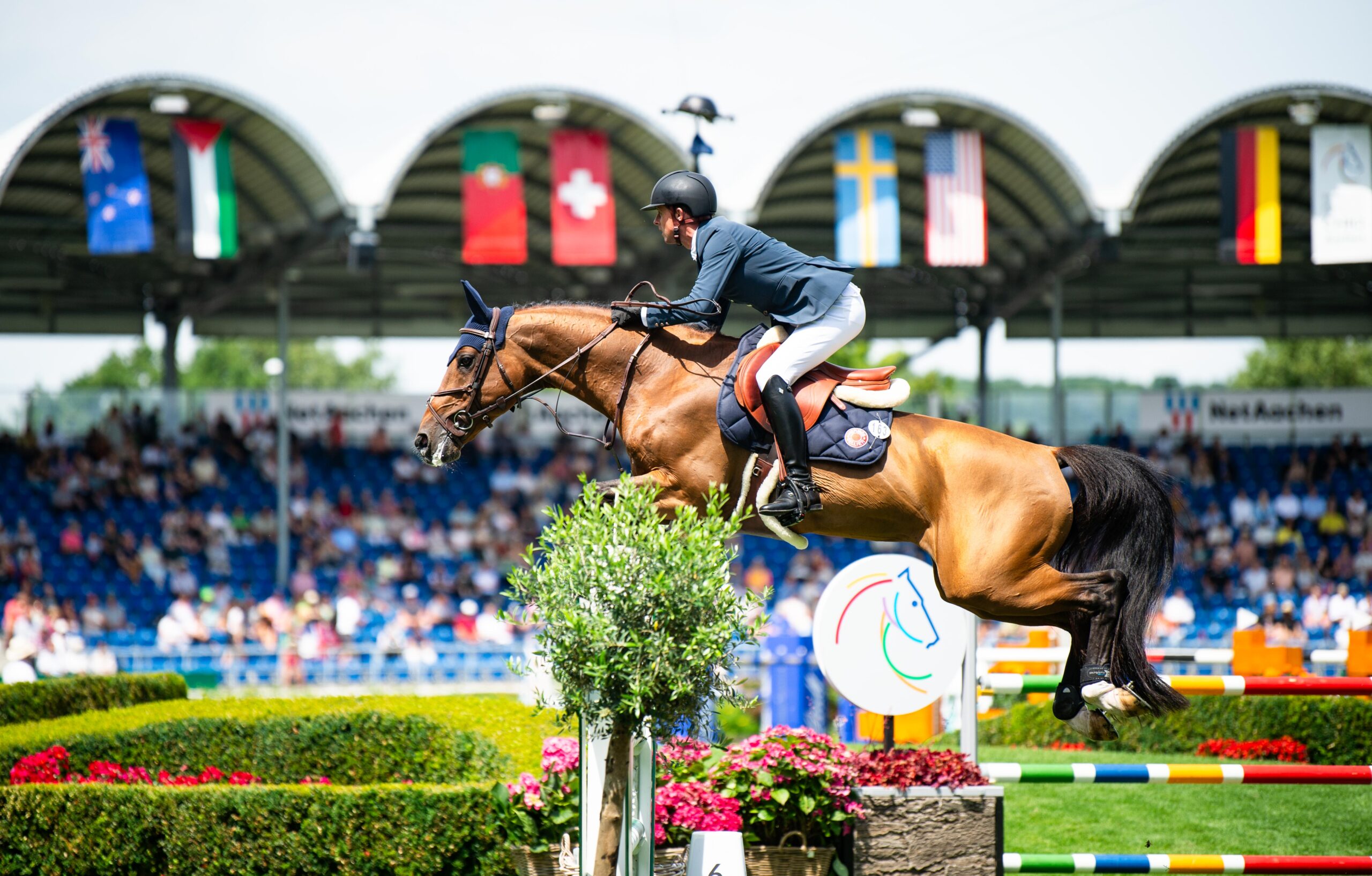 ben maher & faltic hb