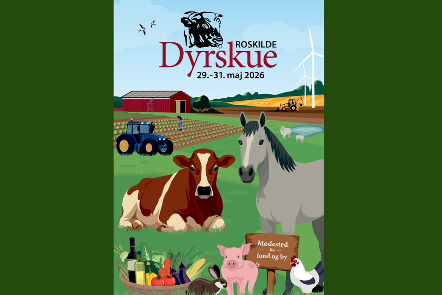 roskilde dyrskue 2026 er mødestedet mellem land og by. grafik. roskilde dyrskue