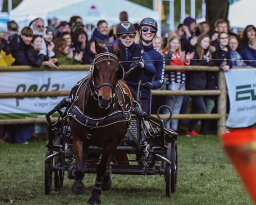 stemningen er altid i top når marathonvognene dyster på årets dyrskue i roskilde foto roskilde dyrskue